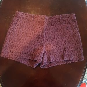 Loft lace shorts